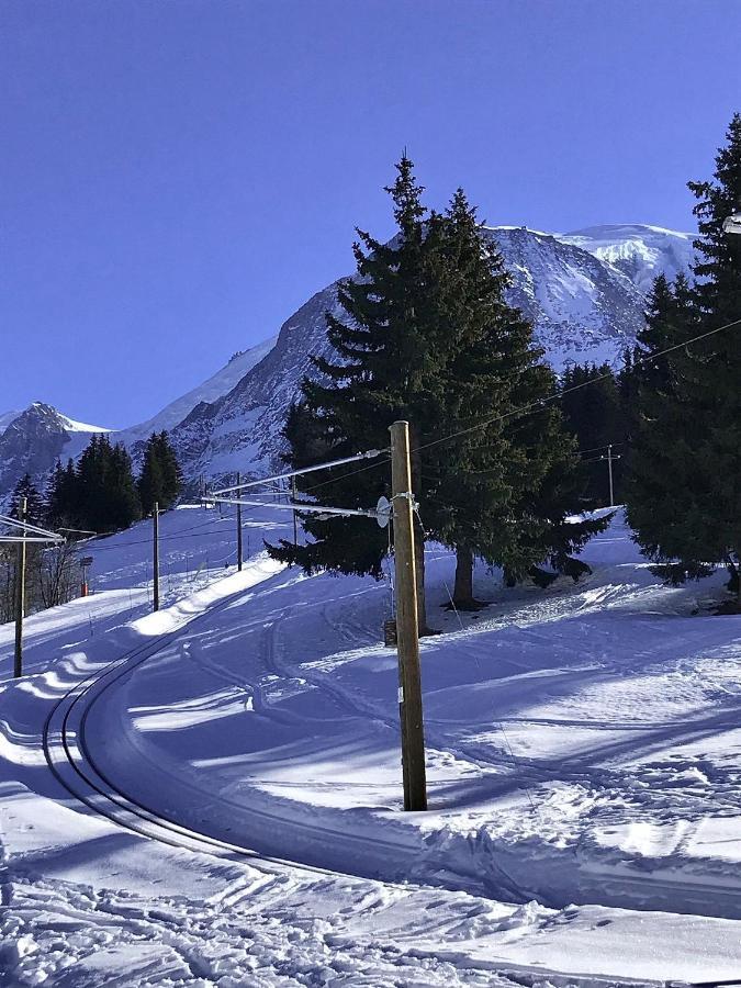 Chalet Amour Blanc Chamonix Les Houches Luaran gambar